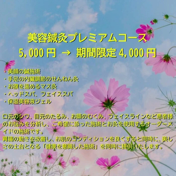 画像289