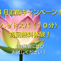 画像293