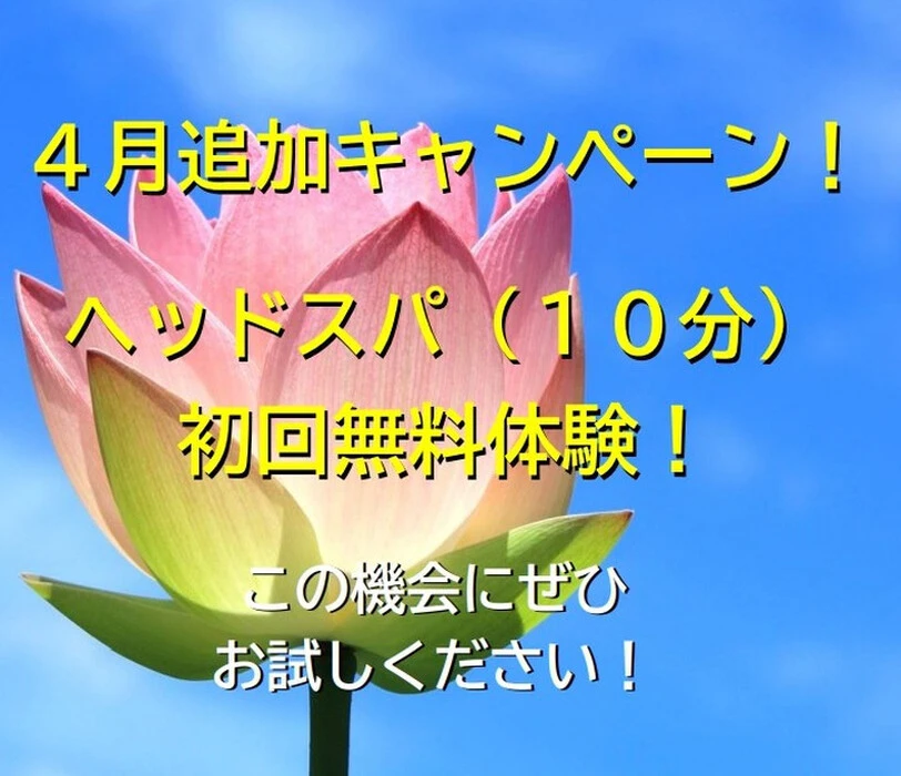 画像293