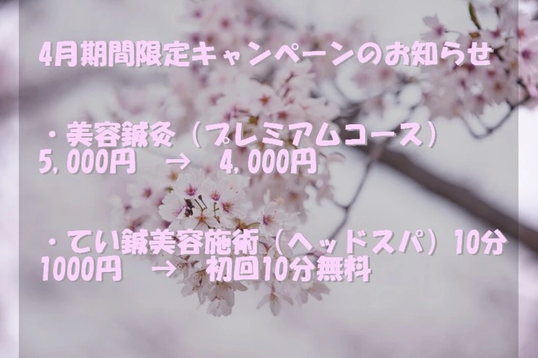 画像297