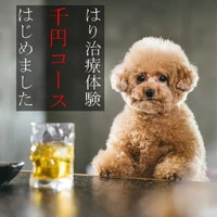 画像299