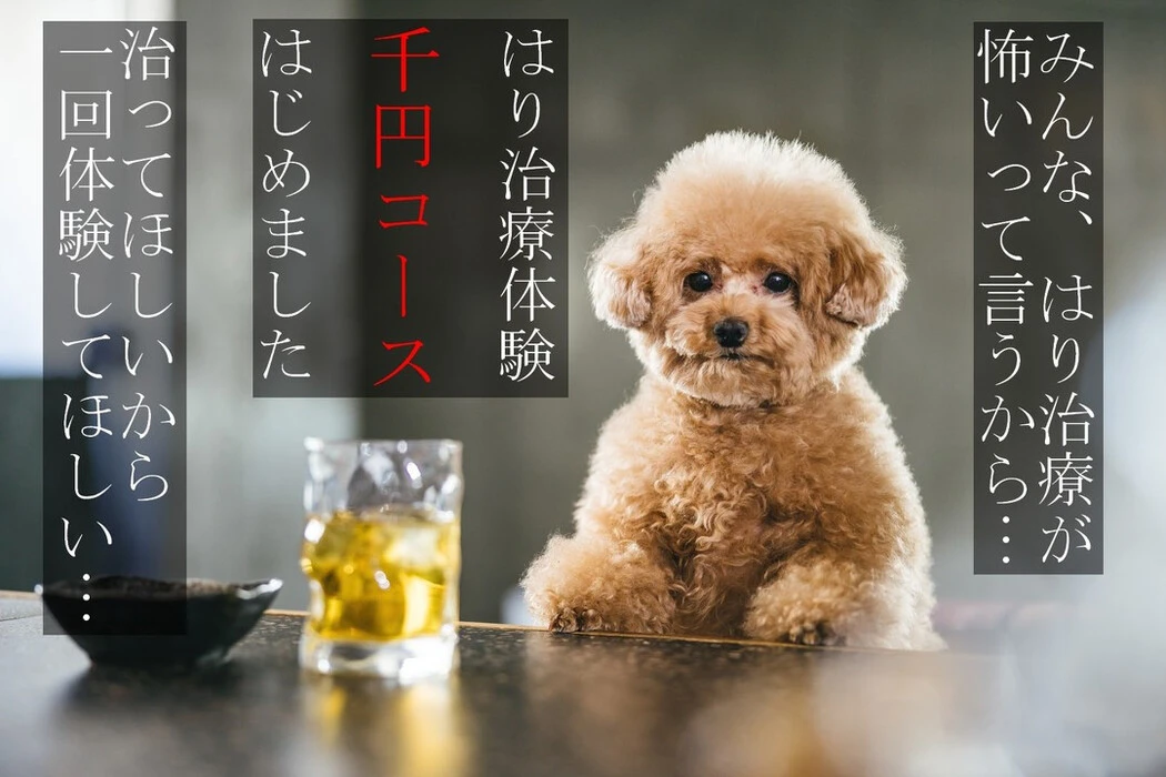画像299