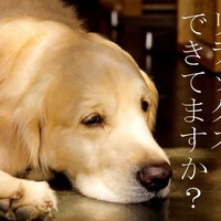 画像301