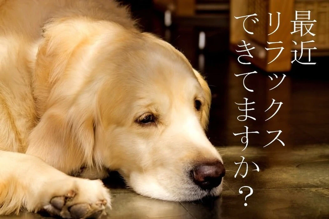 画像301