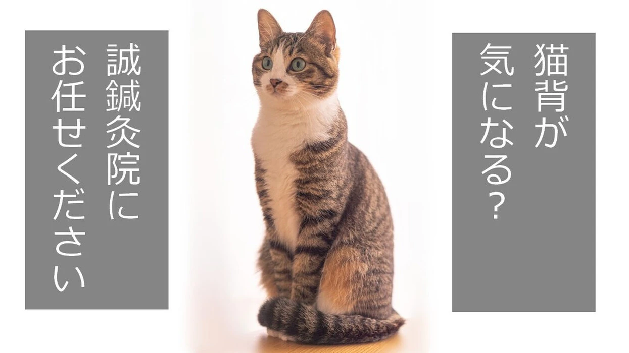 画像303