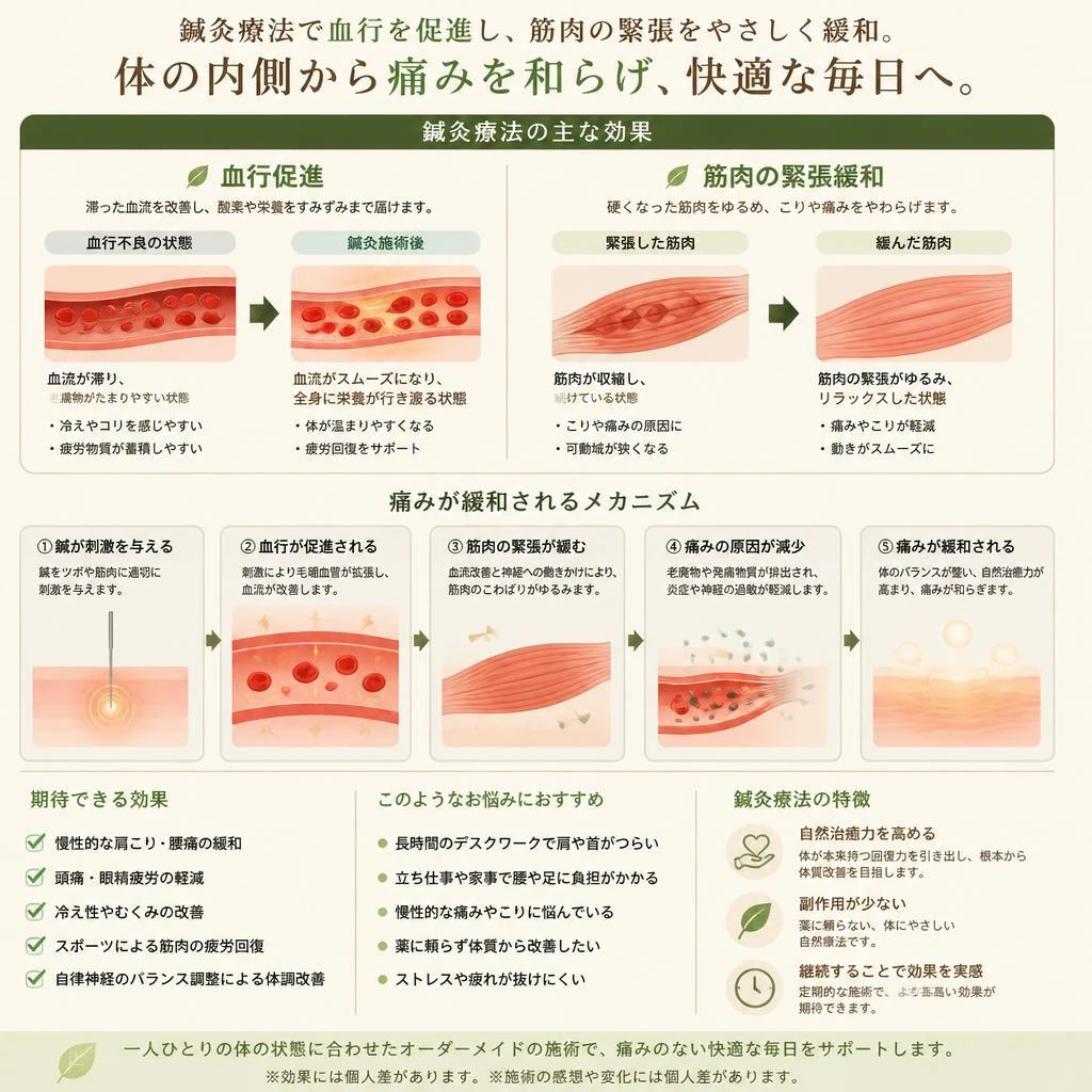 鍼灸で実現する痛みの緩和と体質改善